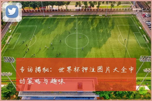专访揭秘:世界杯押注图片大全中的策略与趣味