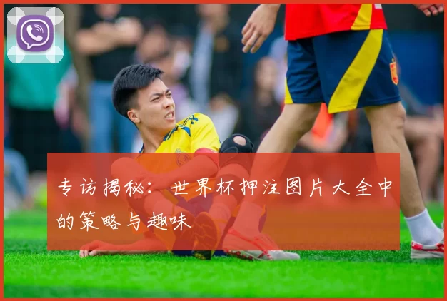 专访揭秘：世界杯押注图片大全中的策略与趣味