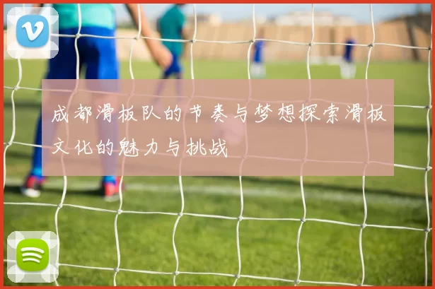 成都滑板队的节奏与梦想探索滑板文化的魅力与挑战