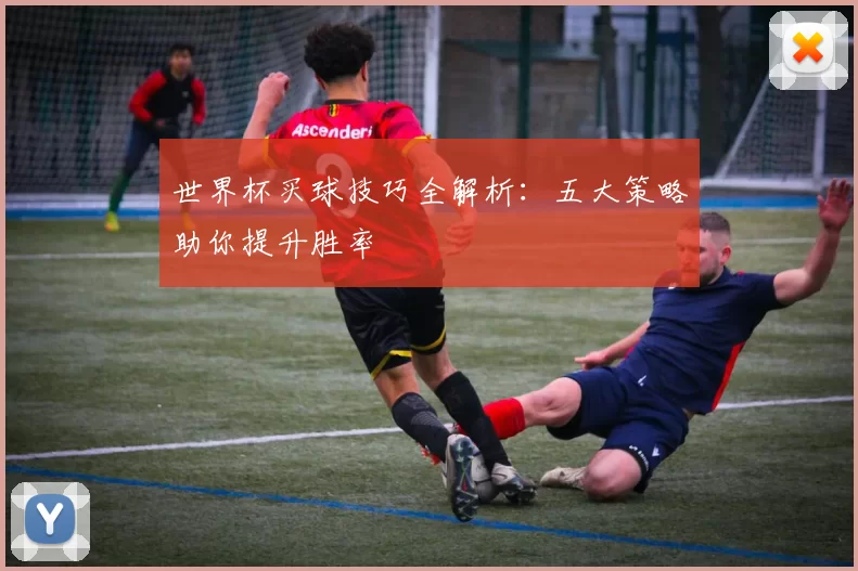 世界杯买球技巧全解析：五大策略助你提升胜率