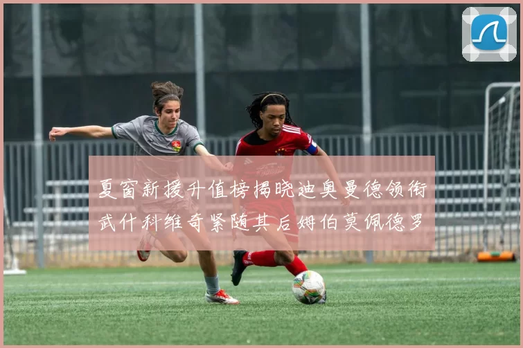 夏窗新援升值榜揭晓迪奥曼德领衔武什科维奇紧随其后姆伯莫佩德罗表现抢眼