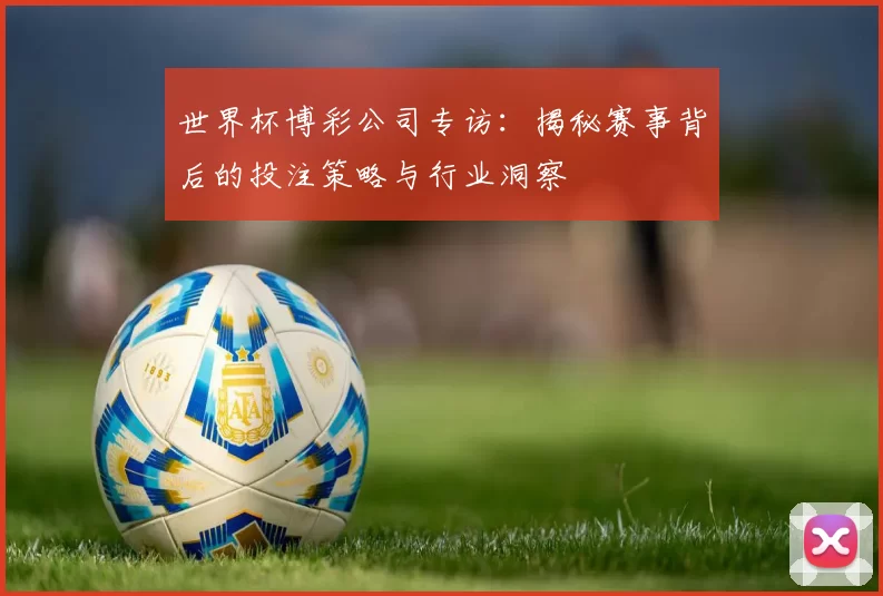 世界杯博彩公司专访：揭秘赛事背后的投注策略与行业洞察