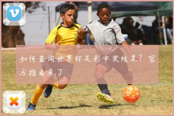 如何查询世界杯足彩中奖结果？官方指南来了