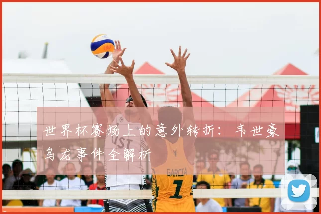 世界杯赛场上的意外转折：韦世豪乌龙事件全解析
