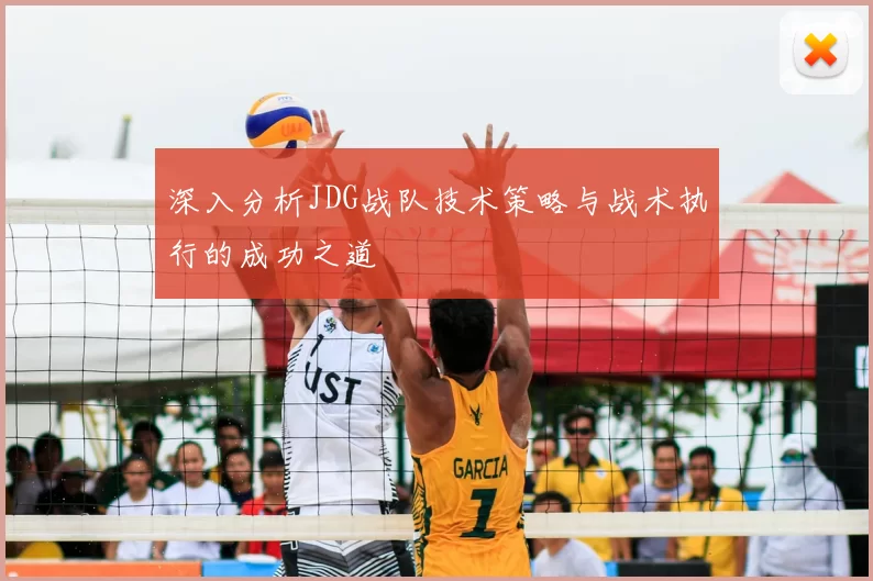深入分析JDG战队技术策略与战术执行的成功之道