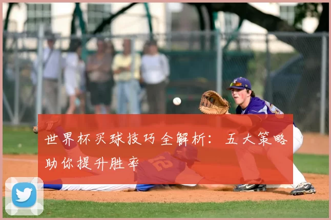 世界杯买球技巧全解析：五大策略助你提升胜率