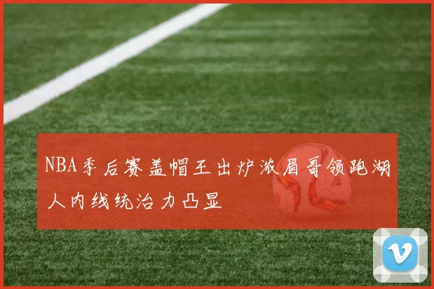 NBA季后赛盖帽王出炉浓眉哥领跑湖人内线统治力凸显