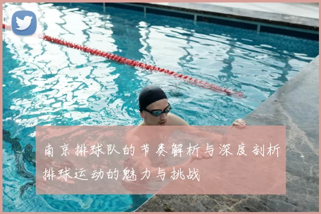 南京排球队的节奏解析与深度剖析排球运动的魅力与挑战