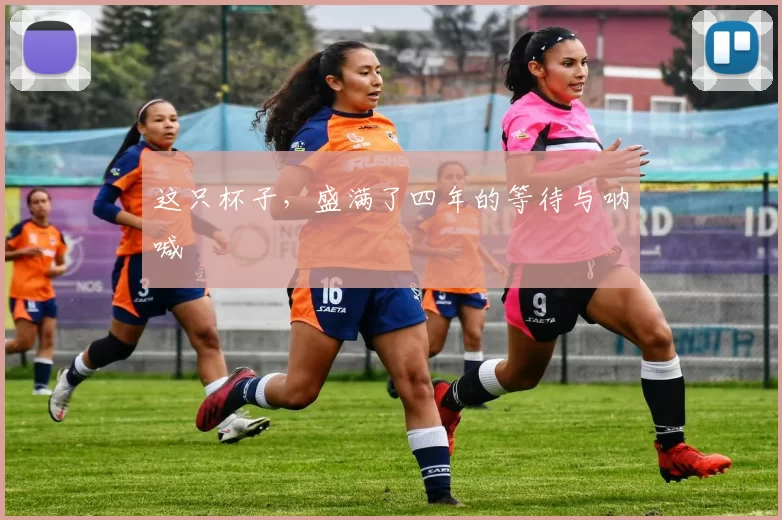 这只杯子，盛满了四年的等待与呐喊