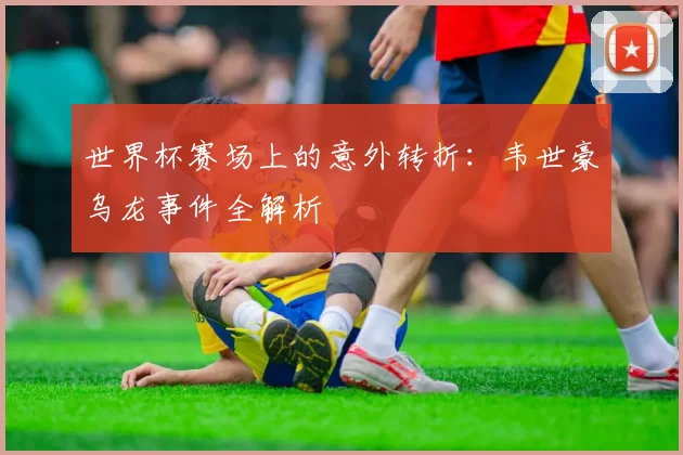 世界杯赛场上的意外转折：韦世豪乌龙事件全解析