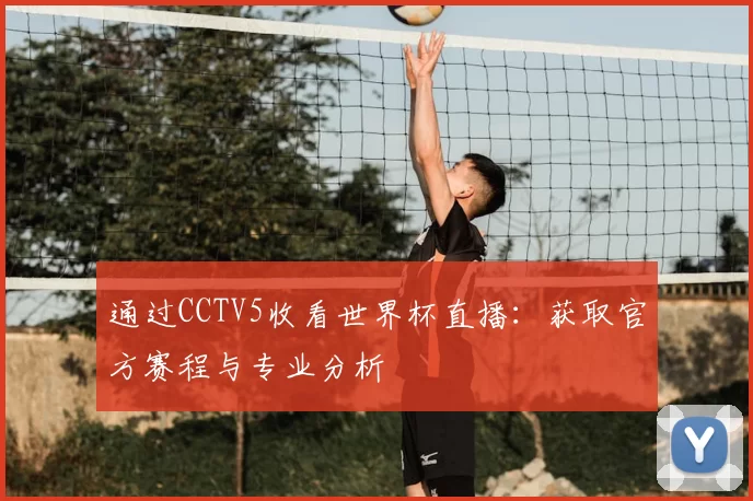 通过CCTV5收看世界杯直播：获取官方赛程与专业分析