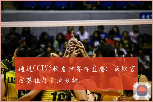 通过CCTV5收看世界杯直播：获取官方赛程与专业分析