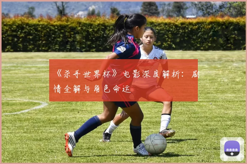 《杀手世界杯》电影深度解析:剧情全解与角色命运