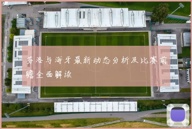 芬洛与海牙最新动态分析及比赛前瞻全面解读